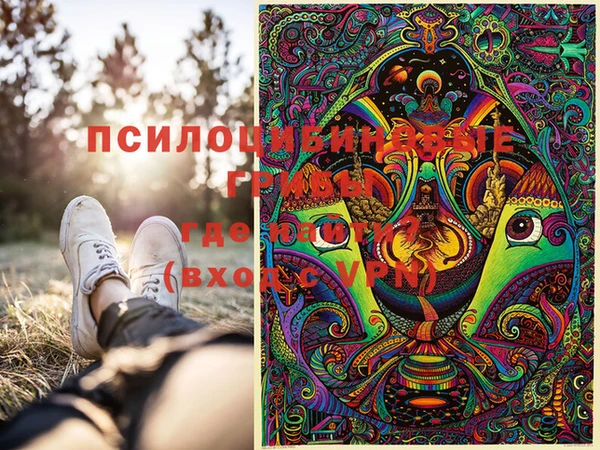 МДПВ Абинск