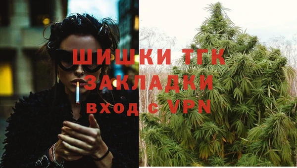 МДПВ Абинск