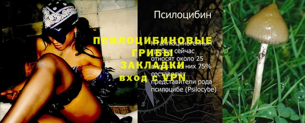 таблы Алексин