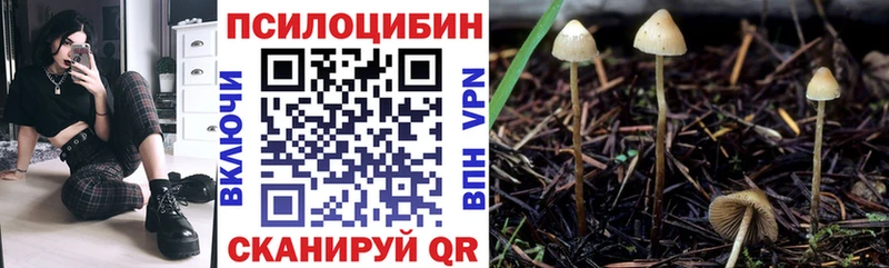 где можно купить   Севастополь  мега сайт  площадка какой сайт  Галлюциногенные грибы Psilocybine cubensis 